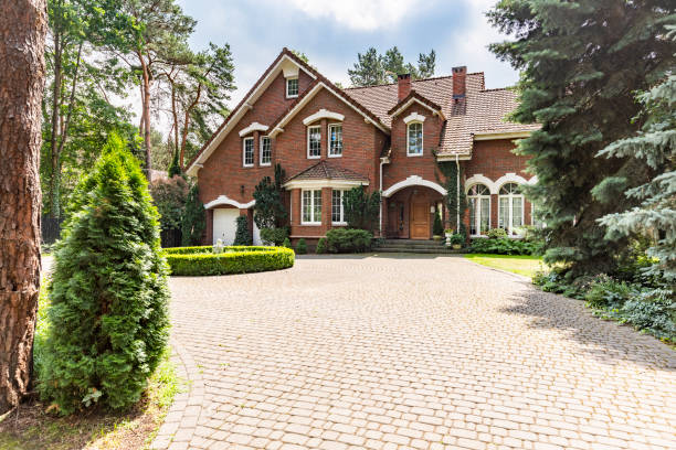 Best Local Driveway Pavers  in Roma, TX