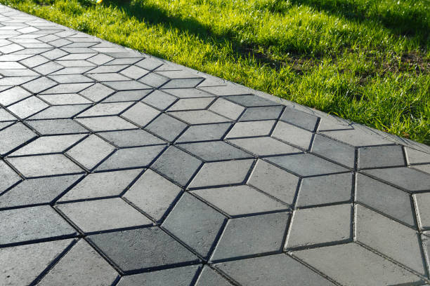 Best Residential Paver Driveway  in Roma, TX