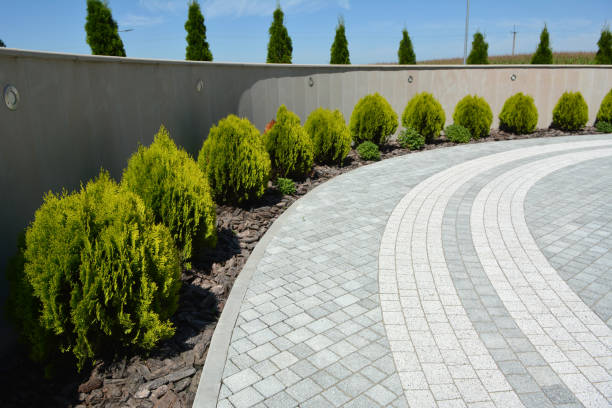 Best Concrete Paver Driveway  in Roma, TX