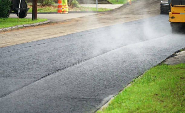 Best Driveway Pavers Near Me  in Roma, TX