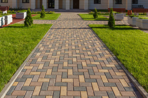 Best Interlocking Driveway Pavers  in Roma, TX