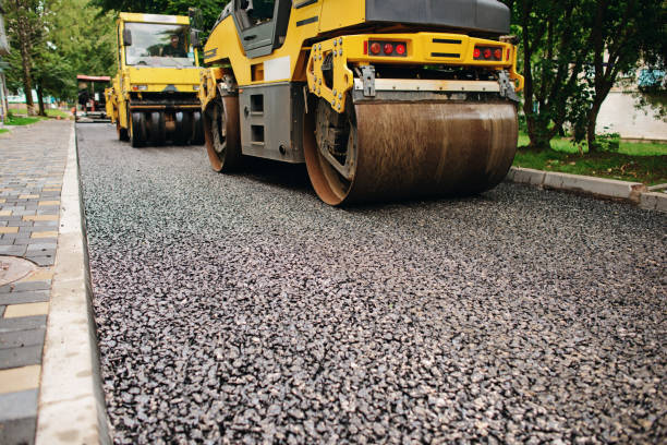Best Decorative Driveway Pavers  in Roma, TX